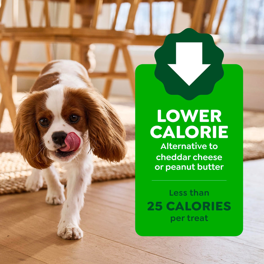 Greenies pochette facile à utiliser, pratique en main.
