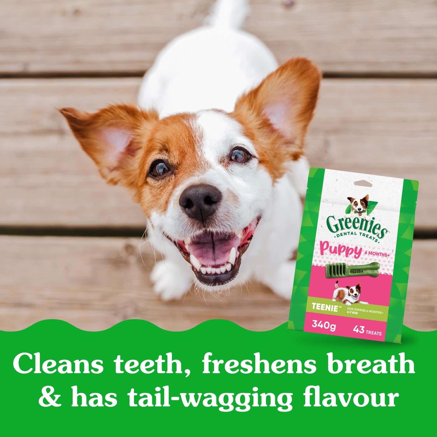 Haleine plus fraîche possible grâce aux friandises Greenies pour chiots.