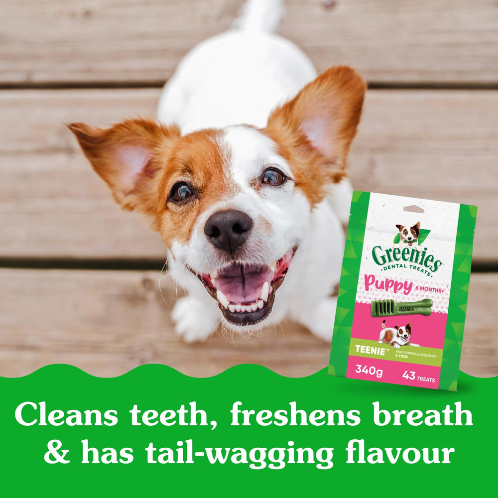 Haleine plus fraîche possible grâce aux friandises Greenies pour chiots.