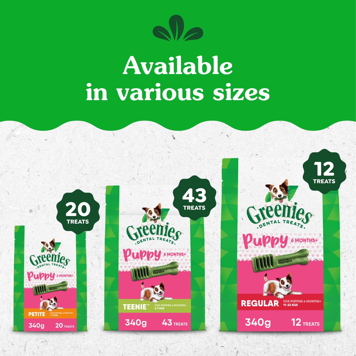 Ingrédients naturels et nutriments dans Greenies Puppy, compléments pour le bien être.