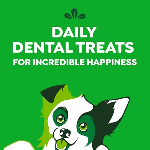 Utilisation quotidienne possible avec Greenies Puppy pour instaurer une routine dentaire.