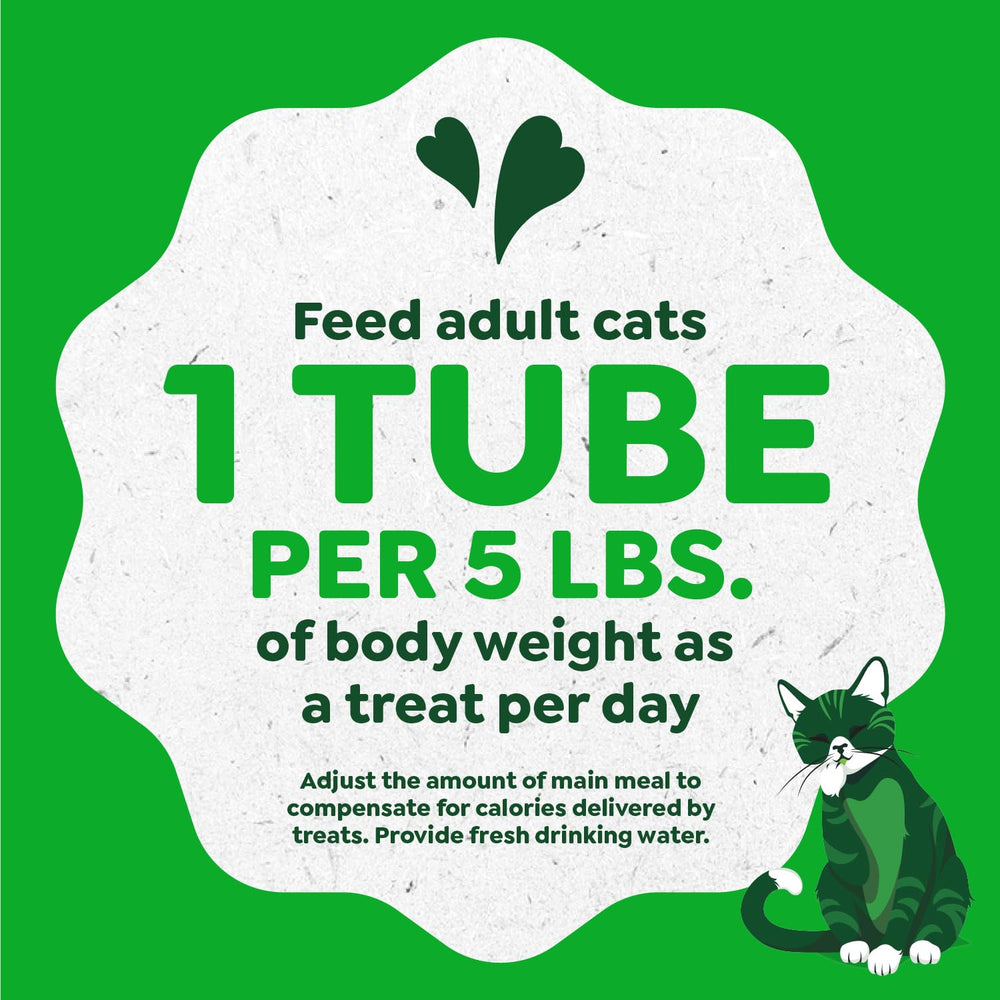 Greenies Rituel-affectif-chat: moment de lien et de douceur lors du partage.