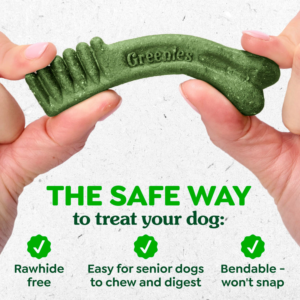 Greenies sans cuir brut, option sûre pour chiens