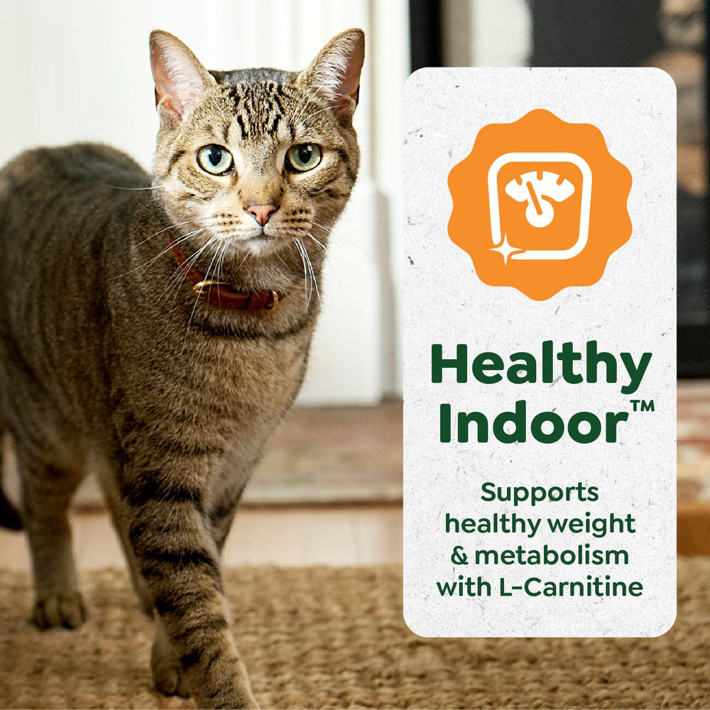 Greenies Sans grains: friandise sans céréales pour chats adultes.