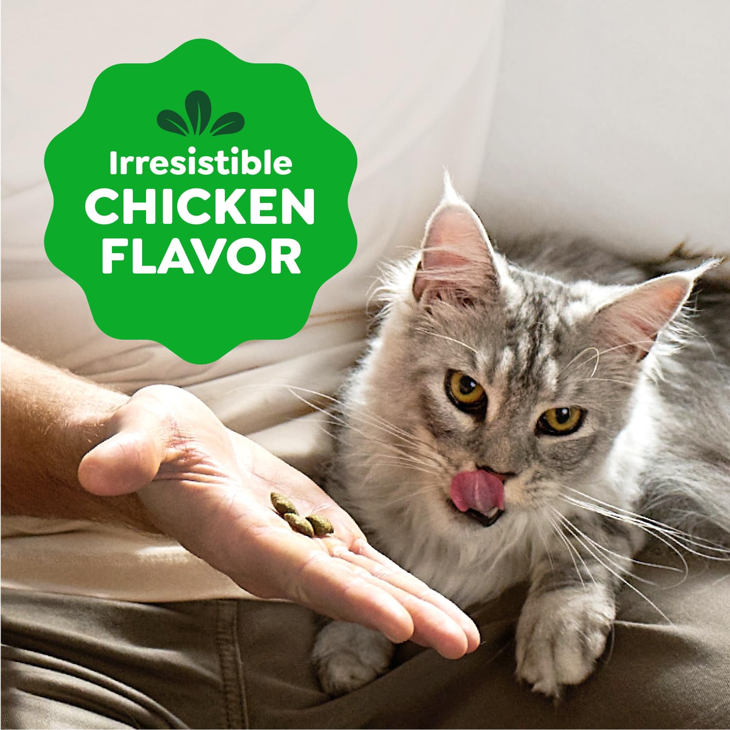 Distributeur/jouet utilisé pour servir les friandises Greenies Smartbites.