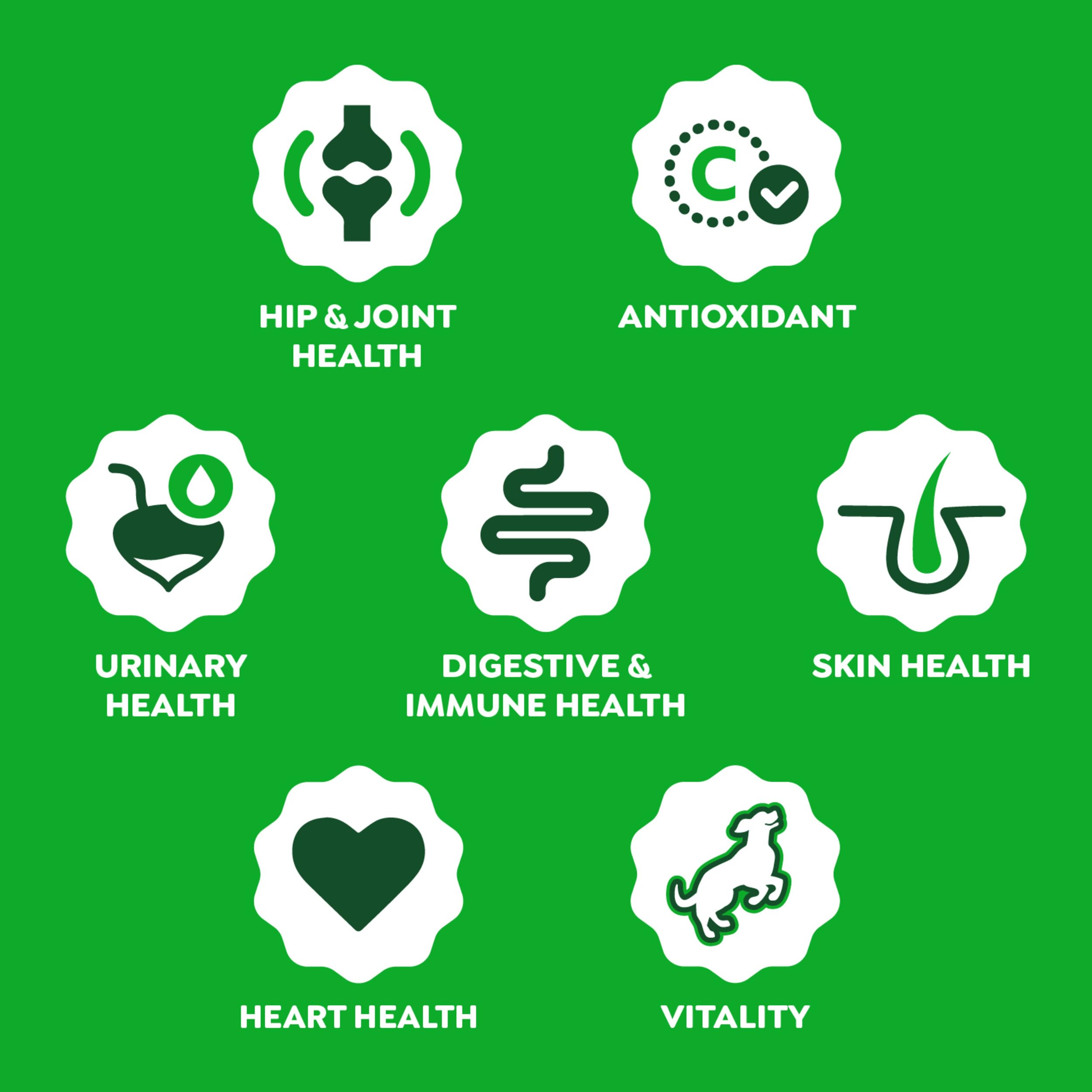 Postbiotique levure pour digestion et immunité avec Greenies.
