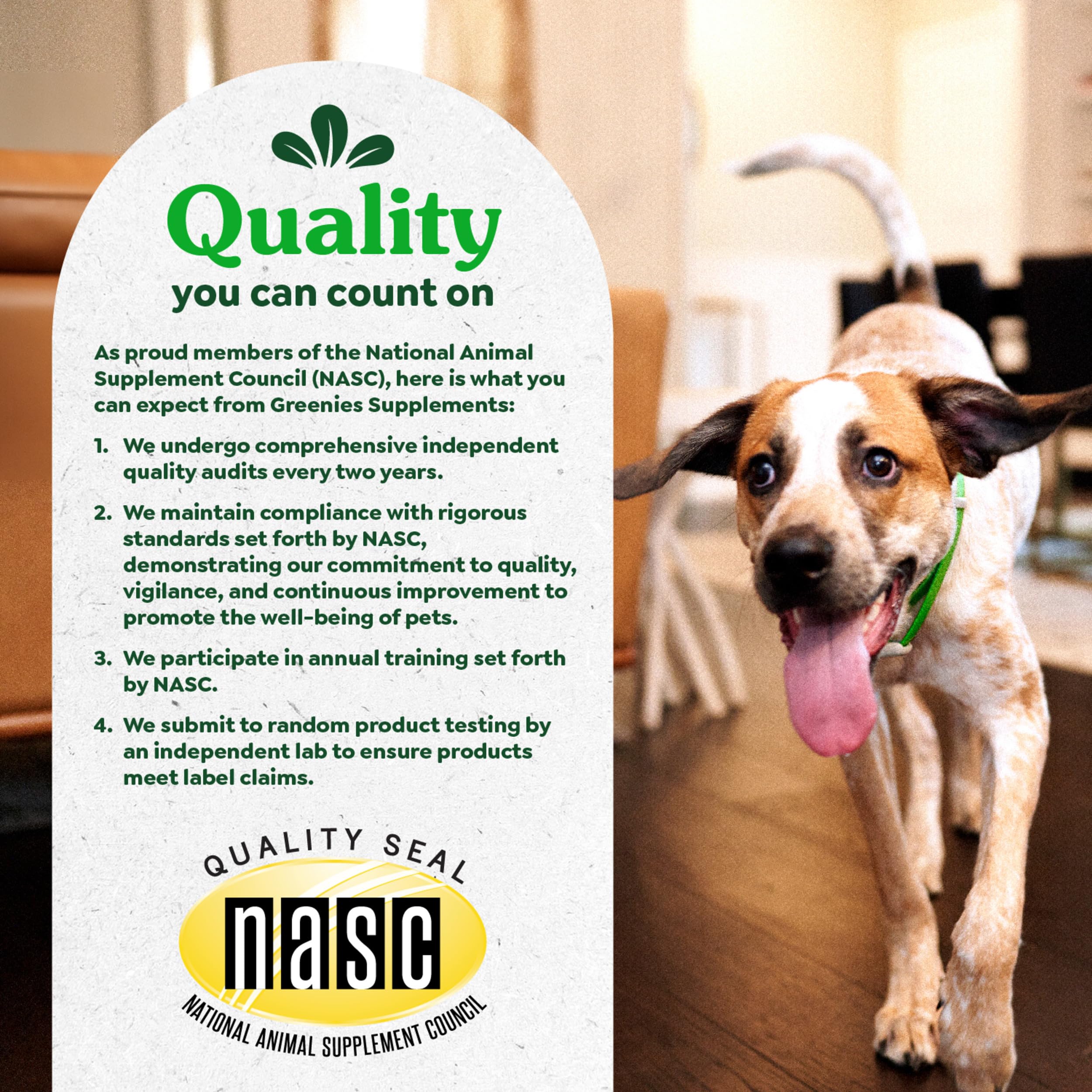 Vitalité et métabolisme grâce à la L-carnitine Greenies.