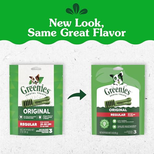 Texture flexible Greenies dentaires pour chiens 25-50 lb