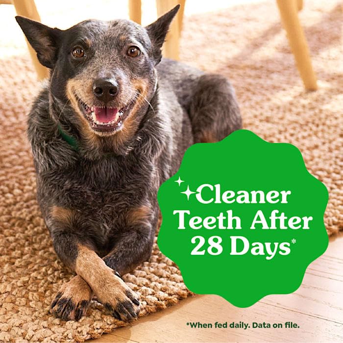 Utilisation quotidienne Greenies chien patate douce, texture croquante.