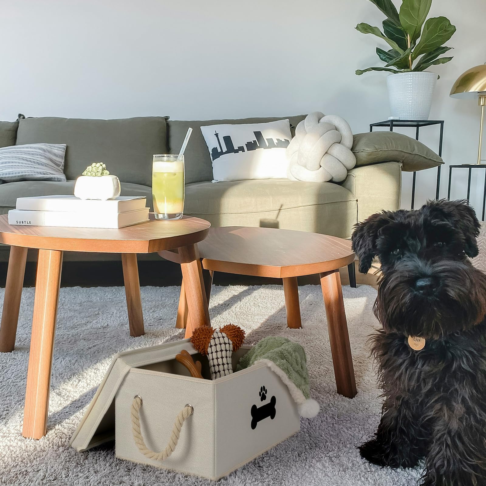 Panier GreenPetopia dans le salon, solution de rangement pratique et élégante.