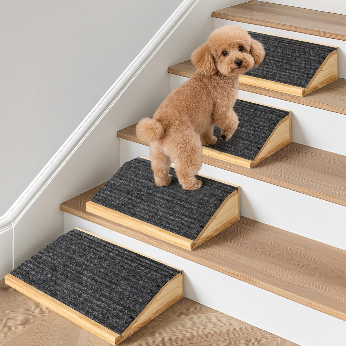 GreenPetopia rampe en bois pour chien — vue avant, stable et pratique.
