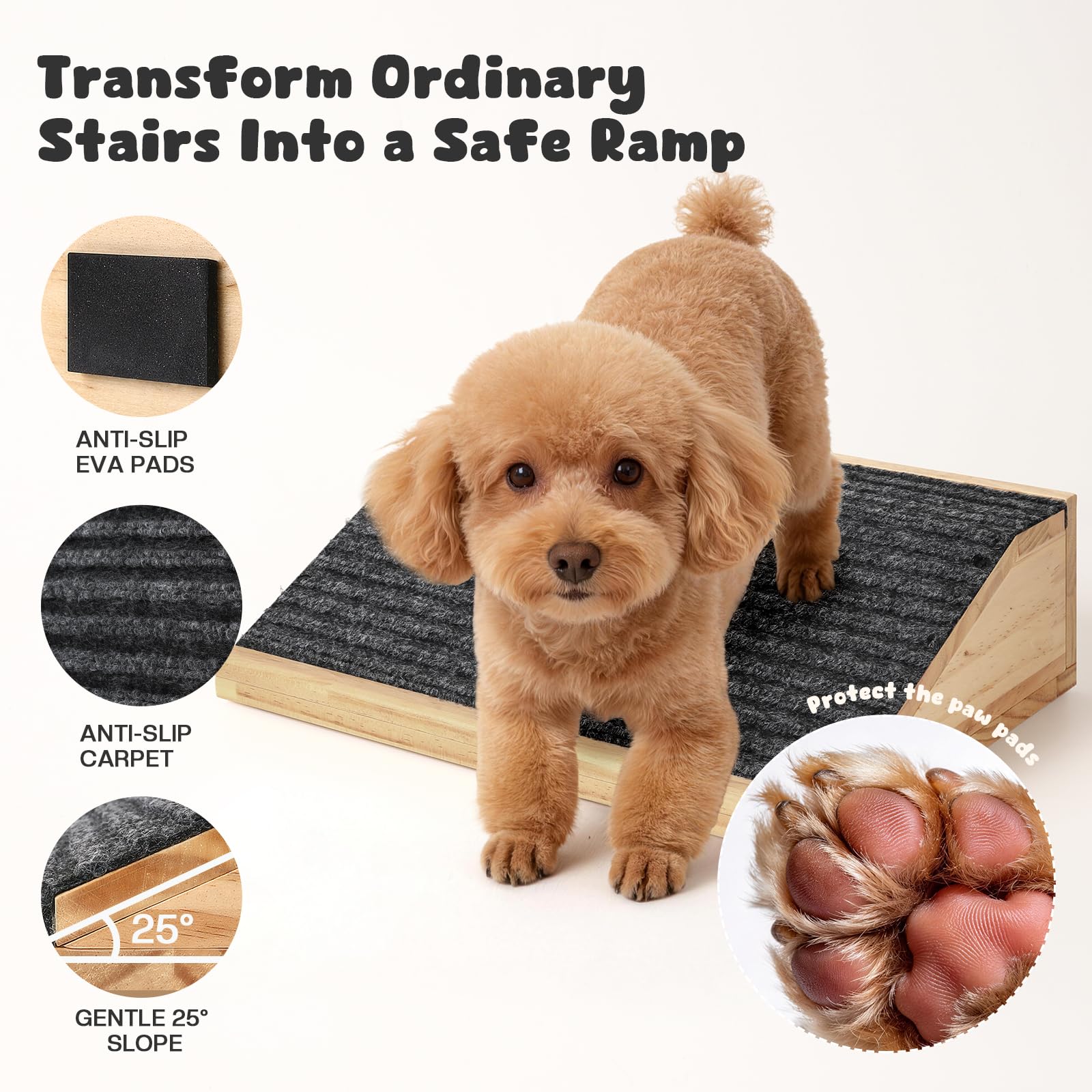 GreenPetopia rampe pour chiens âgés — aide douce et sécurisante.
