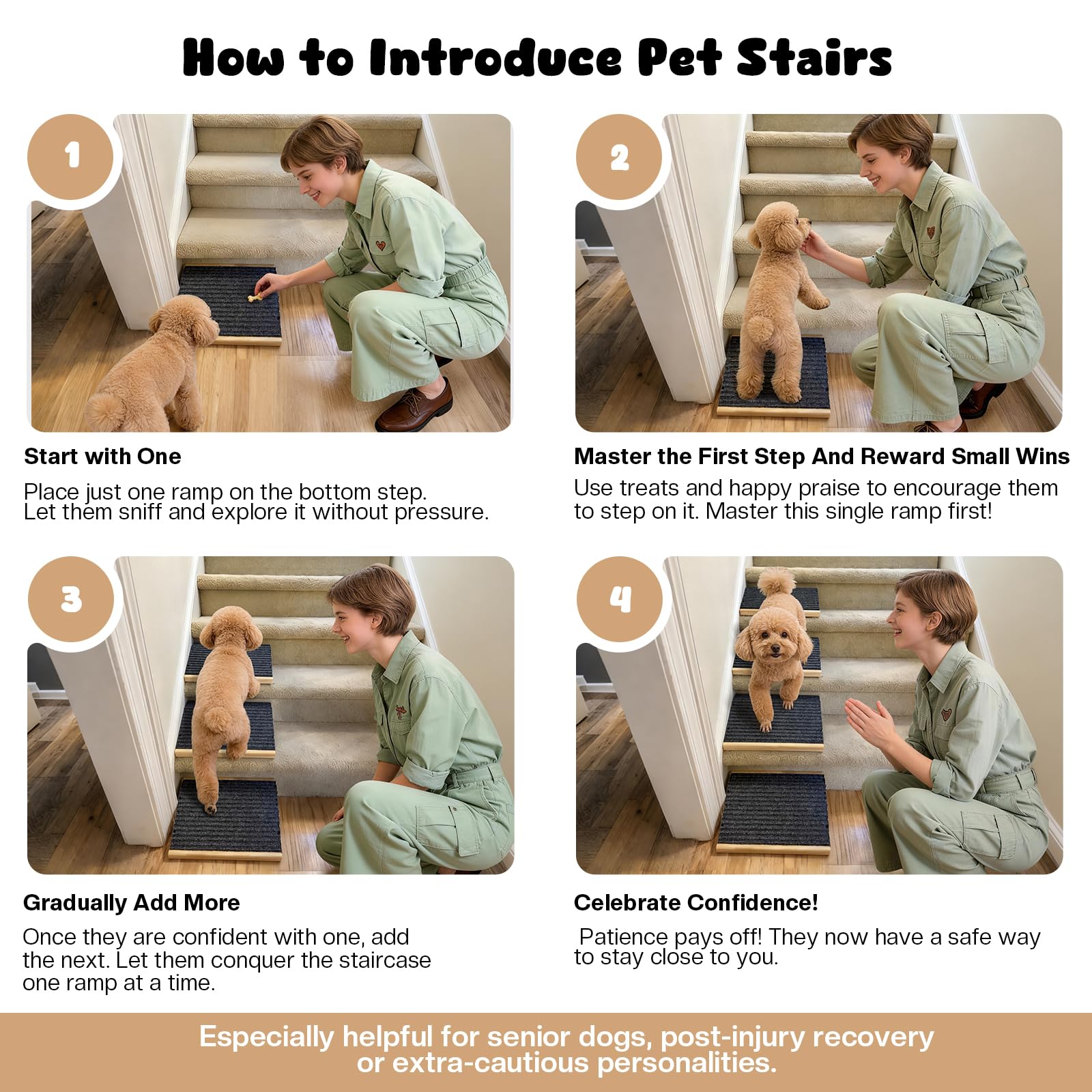 GreenPetopia Rampe petite chiens usage douce, idéale pour chiens âgés.