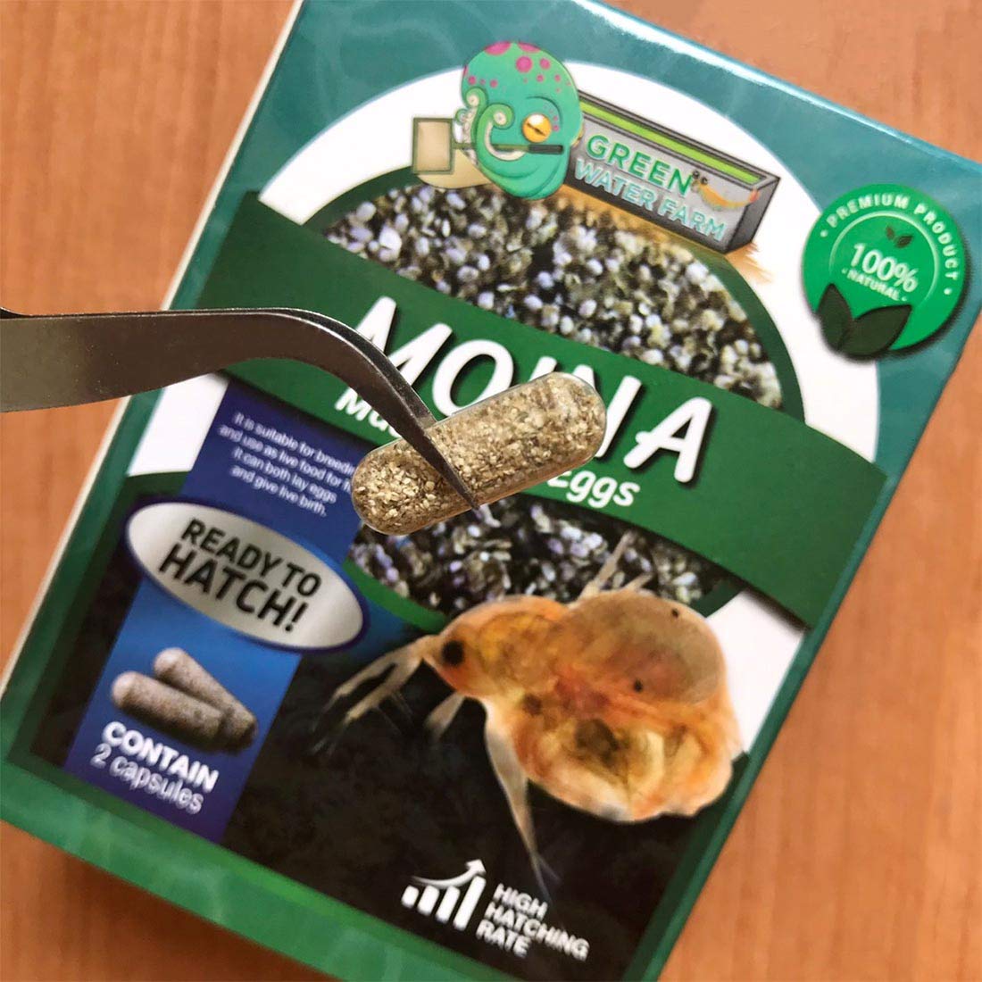 GreenWaterFarm nourriture vivante Moina macrocopa pour poissons actifs.