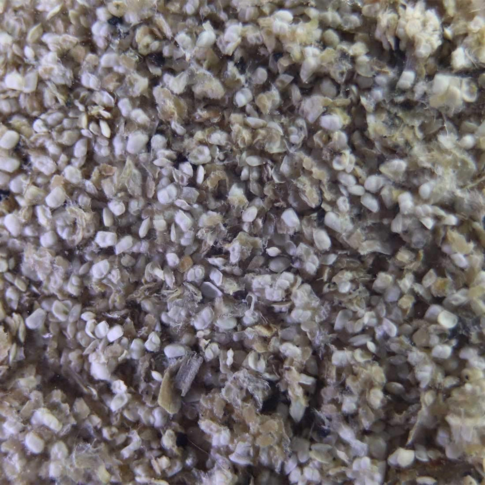 GreenWaterFarm usage quotidien en aquarium, nourrir poissons et crustacés facilement.