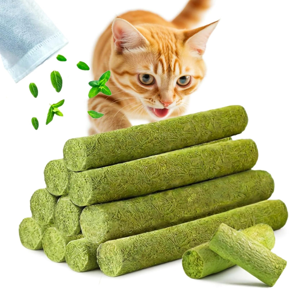GREMBEB bâton dentaire chat, herbe naturelle, aide à l'hygiène buccale et au comportement de mastic.