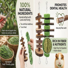 Grembeb gateau-alfalfa, friandise naturelle pour diversifier l’alimentation et occuper l’animal.
