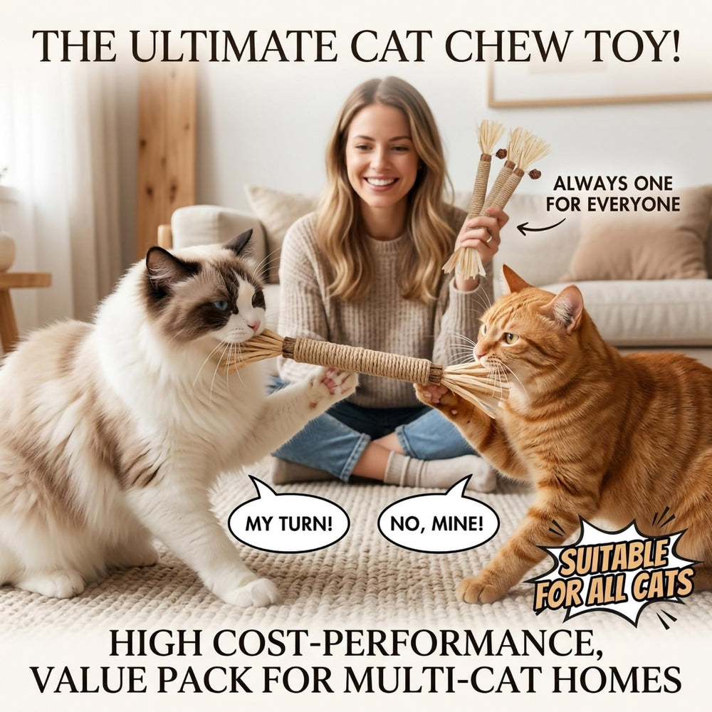 Accessoire éducatif GREMBEB pour chat, stimule l'activité physique et le toilettage naturel.