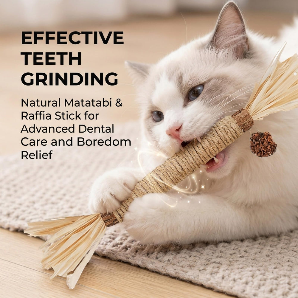 Jouet GREMBEB pour chats, grignotement guidé et éventuel soutien à l'hygiène bucco-dentaire.
