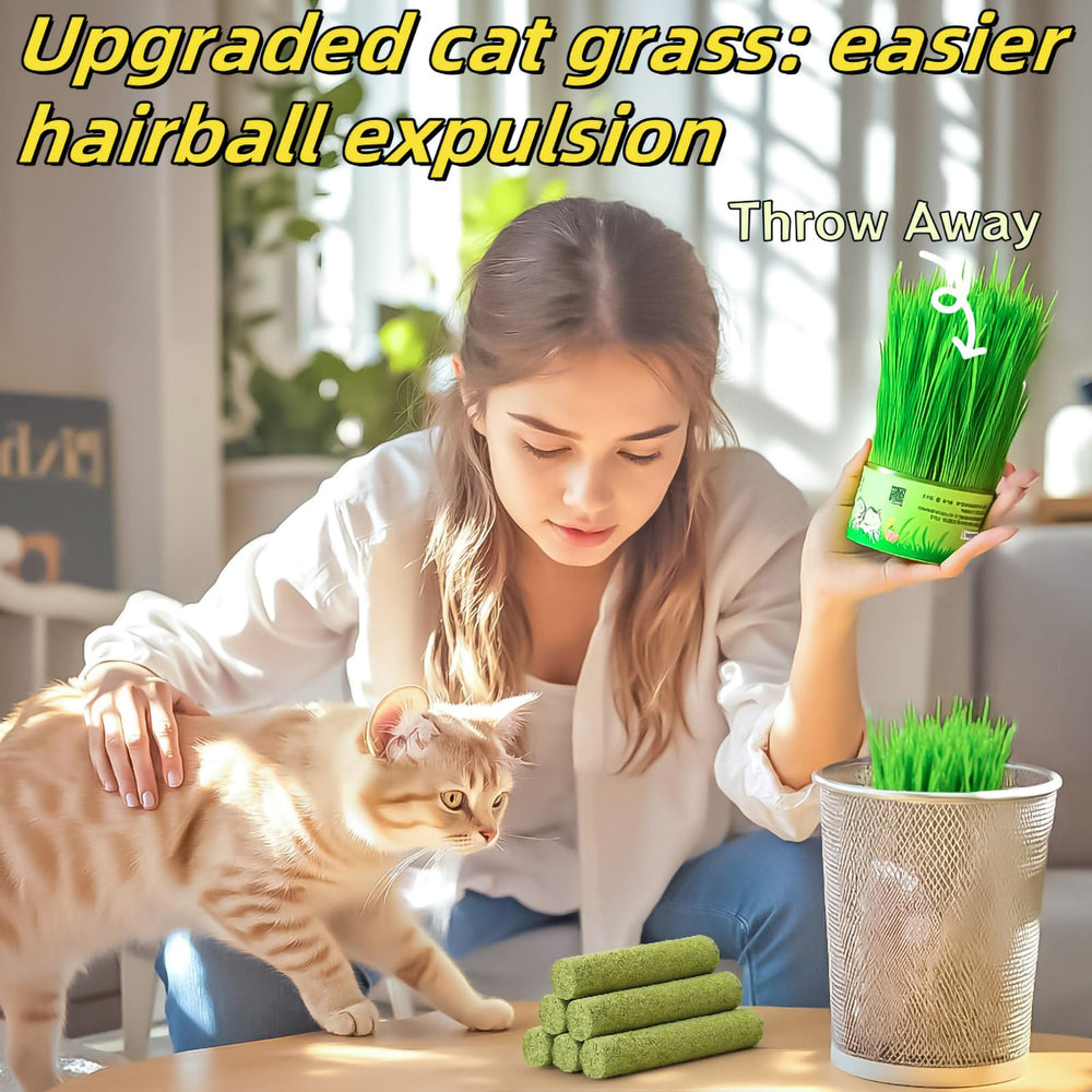 GREMBEB jouet chat, herbe à chat stimulante pour réflexion et jeu détendu.