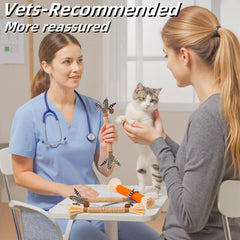 GREMBEB jouet-chat-silvervine-dent: stimulation ludique et hygiène buccale potentielle.