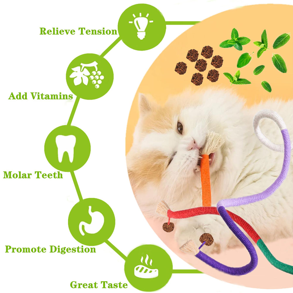 Jouet griffade-auto GREMBEB pour chat: stimulation physique et jeu autonome.
