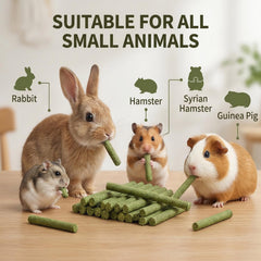 GREMBEB jouet interaction animaux : renforce le lien et l’activité physique.