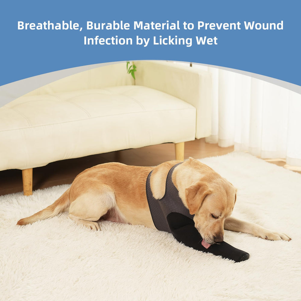 Confort respirant des chaussettes Grettytling pour chien au quotidien.