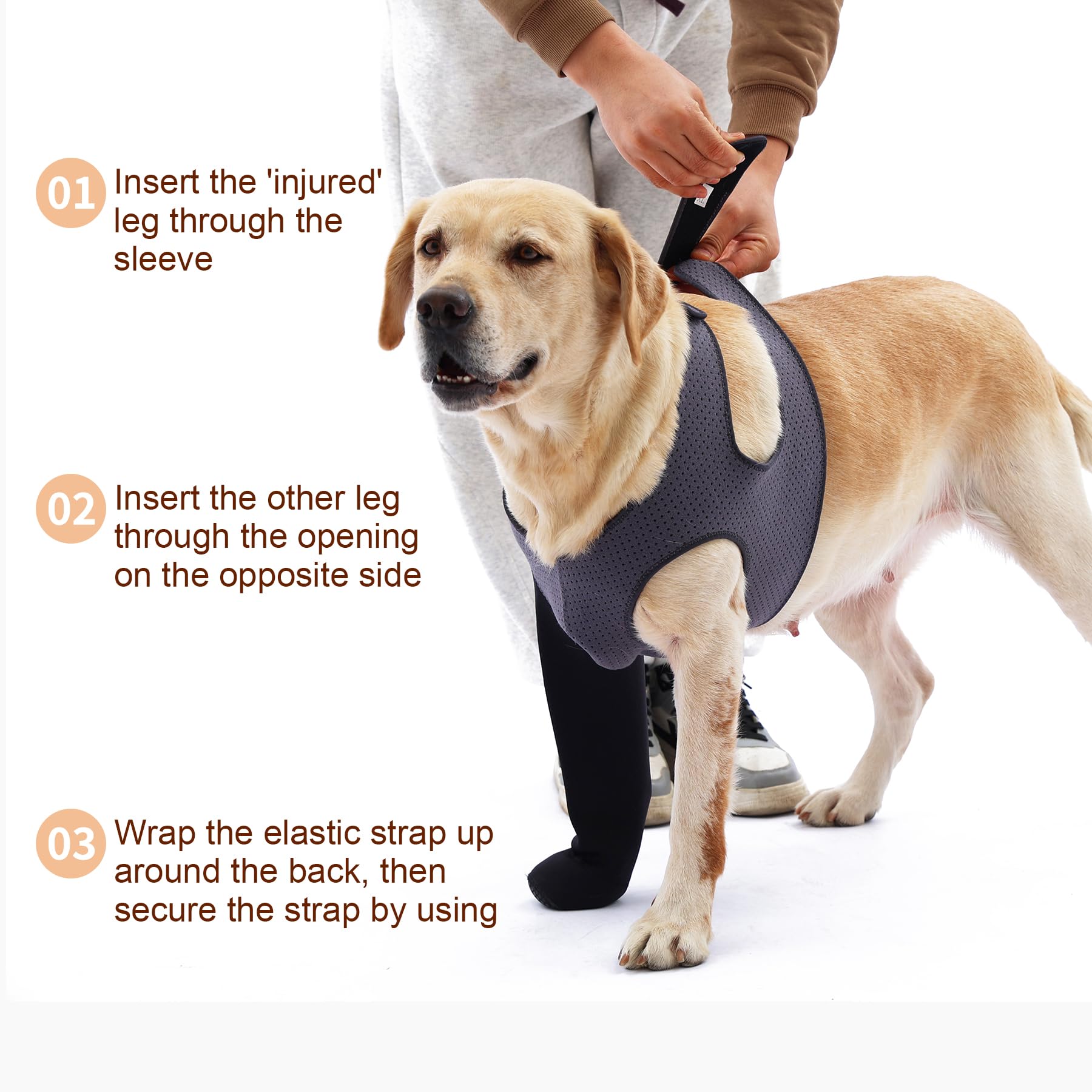 Facile à mettre et à laver: chaussettes Grettytling pour chien.