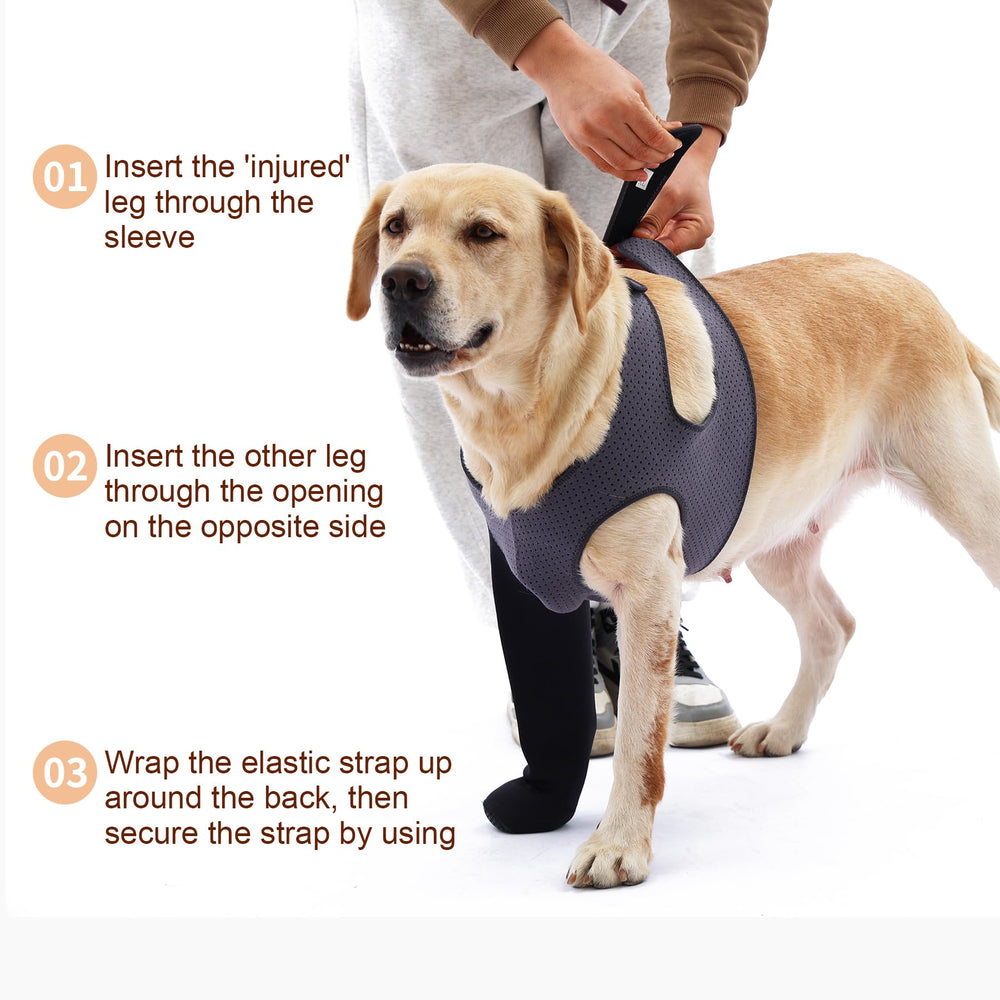 Facile à mettre et à laver: chaussettes Grettytling pour chien.