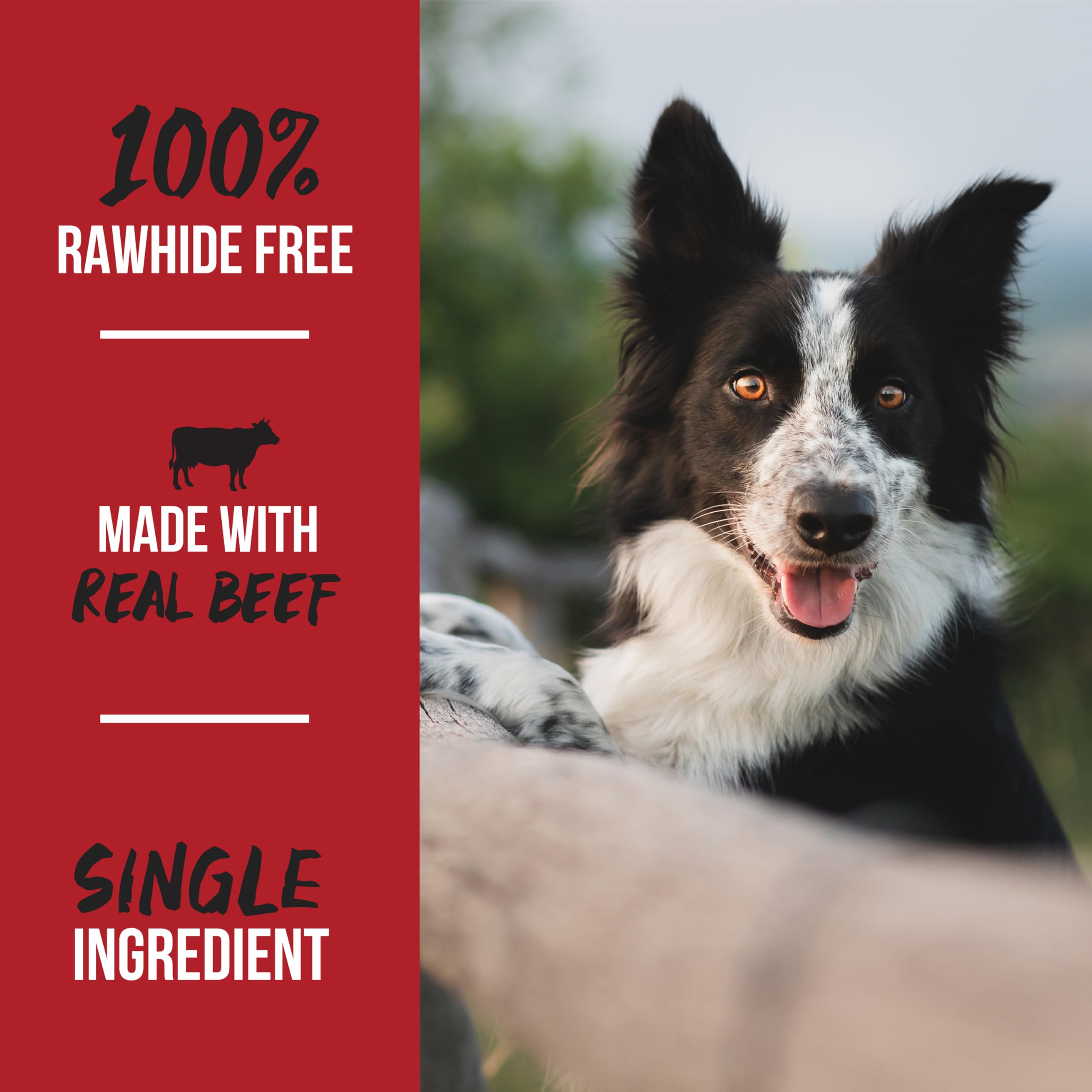 Grillerz Bully Bits: sans céréales et sans additifs.