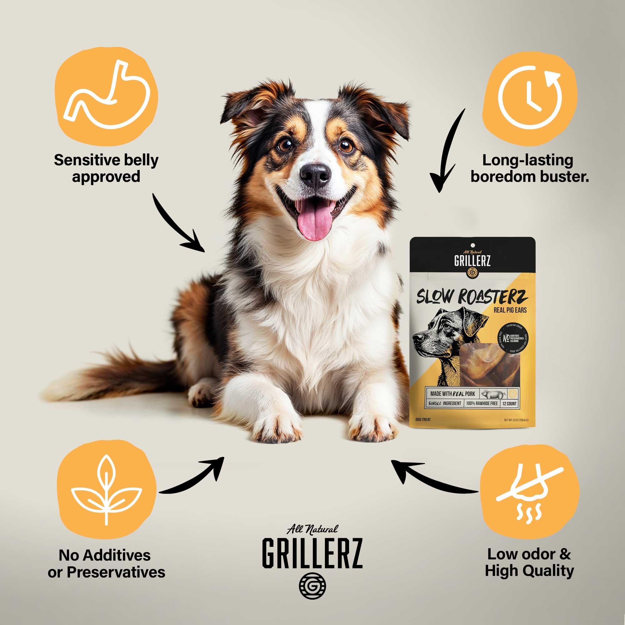 Grillerz Oreilles de Porc Réelles – texture naturelle en gros plan pour mâchouillage.