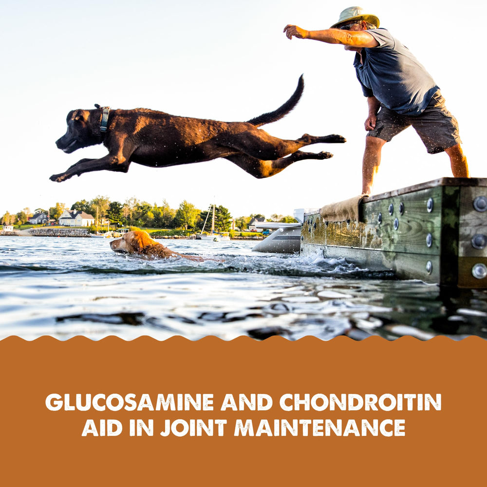 GRIZZLY Joint Aid Liquide – Huile de krill favorisant l’absorption des actifs.