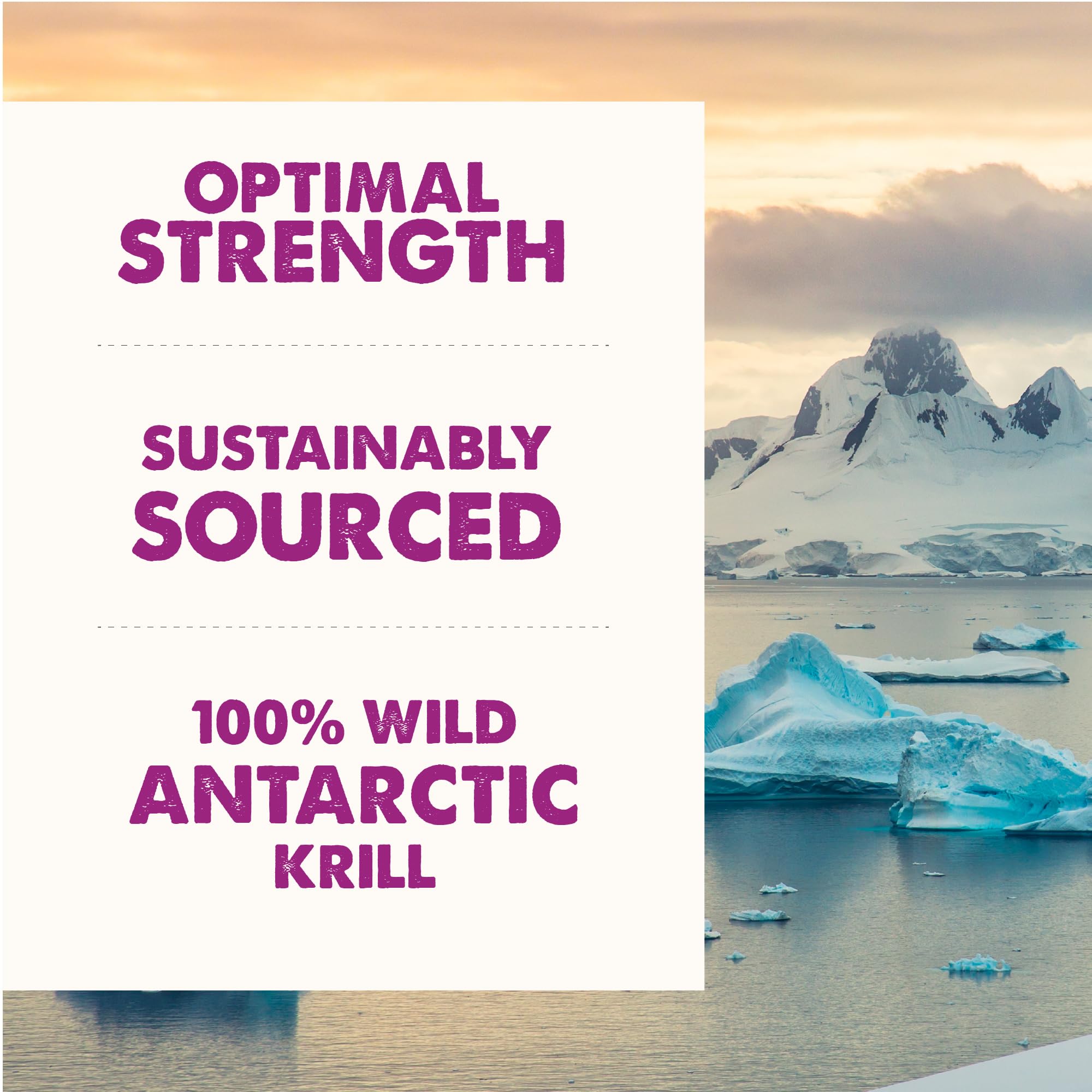 Grizzly Pet Products huile krill antarctique goutte d huile – facilité d ajout au repas