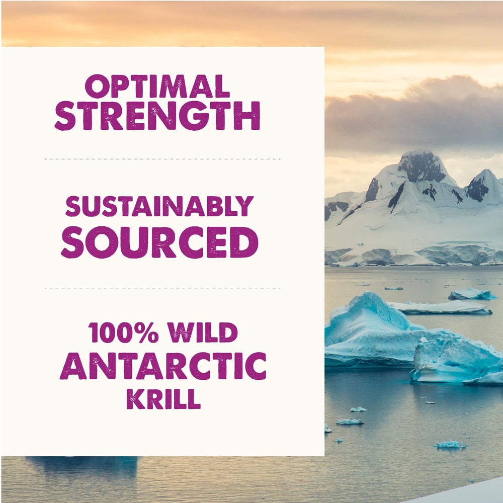 Grizzly Pet Products huile krill antarctique goutte d huile – facilité d ajout au repas