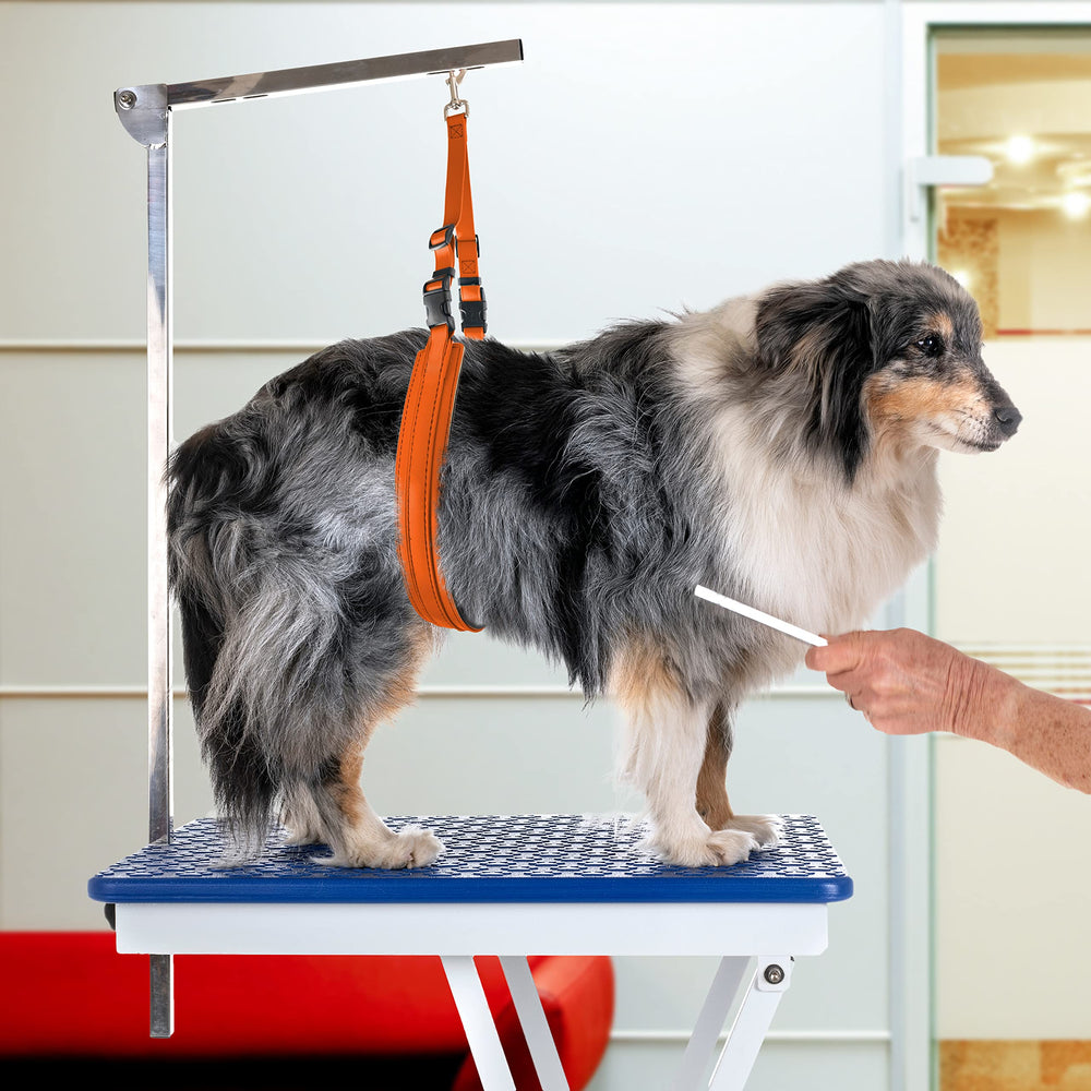 GROOMERSPRO Jelly Belly Loop boucle rapide pour libérer le chien sans retirer l’attache.