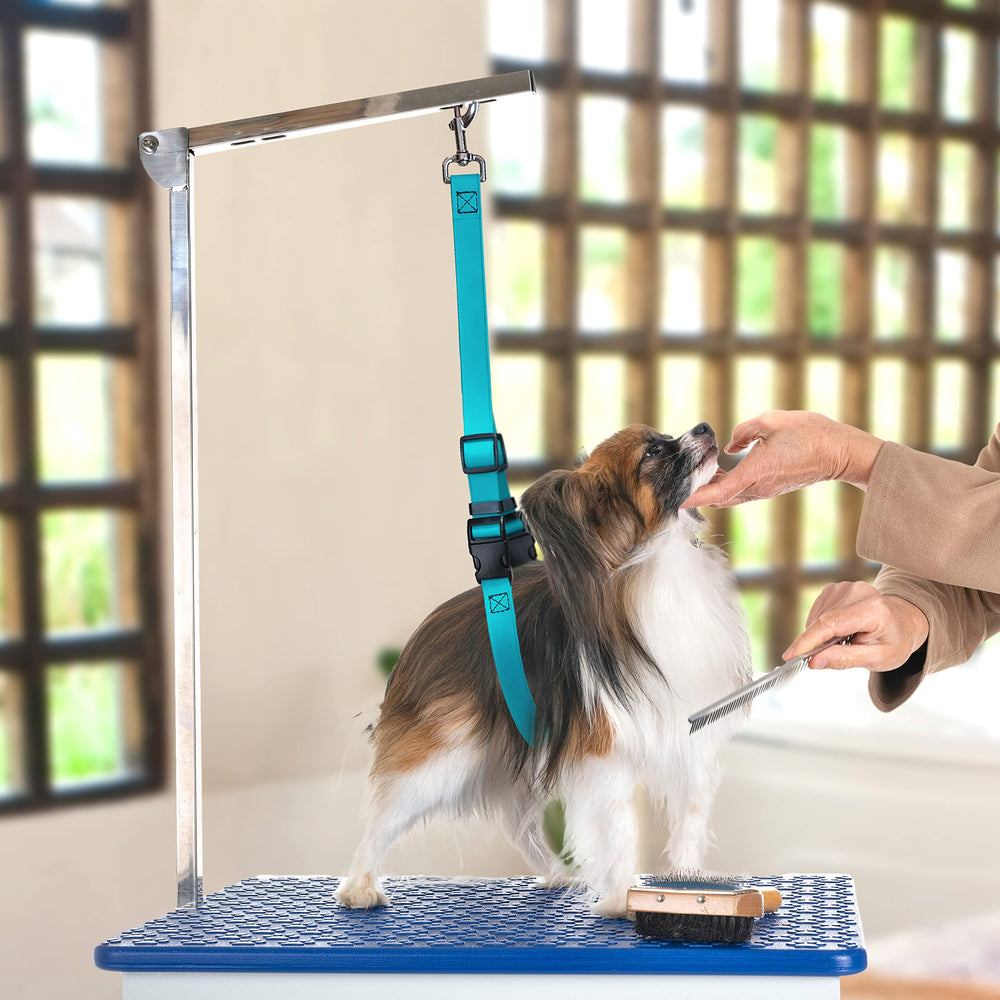 GROOMERSPRO Jelly Belly Loop soutien les chiens seniors lors du toilettage.