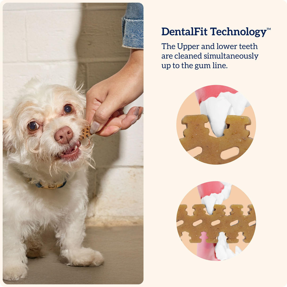 Groovies DentalFit, technologie brevetée, favorise le contact dentaire lors du mâchage.