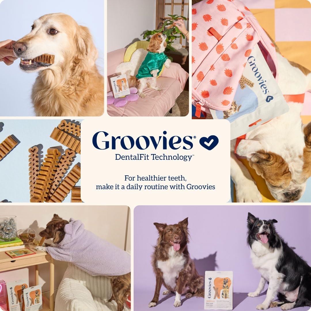 Groovies fabrication aux États‑Unis assure une qualité constante.
