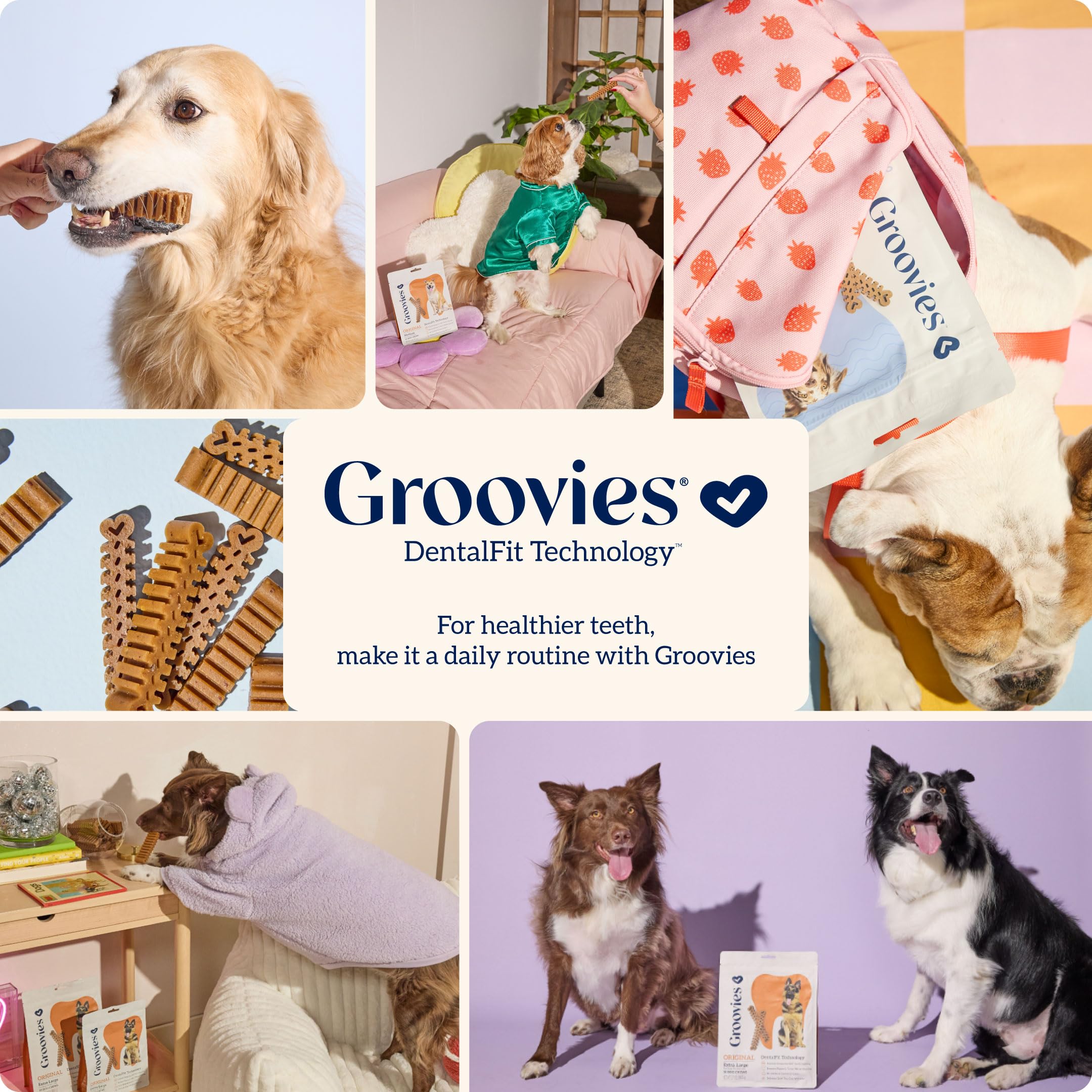Groovies ingrédients-sans-gluten – conçu pour petits chiens.
