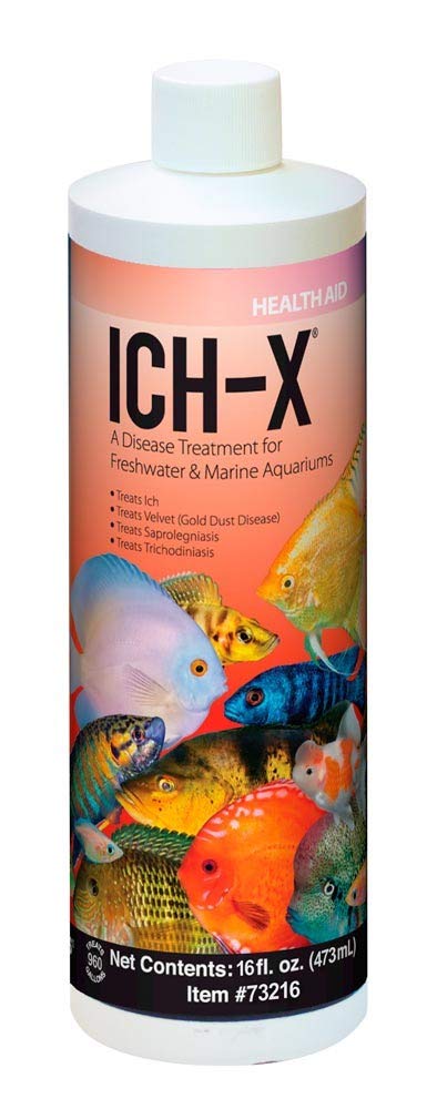 GROTAUS ICH-X: bouteille prête à l’emploi pour traiter les parasites dans l’aquarium