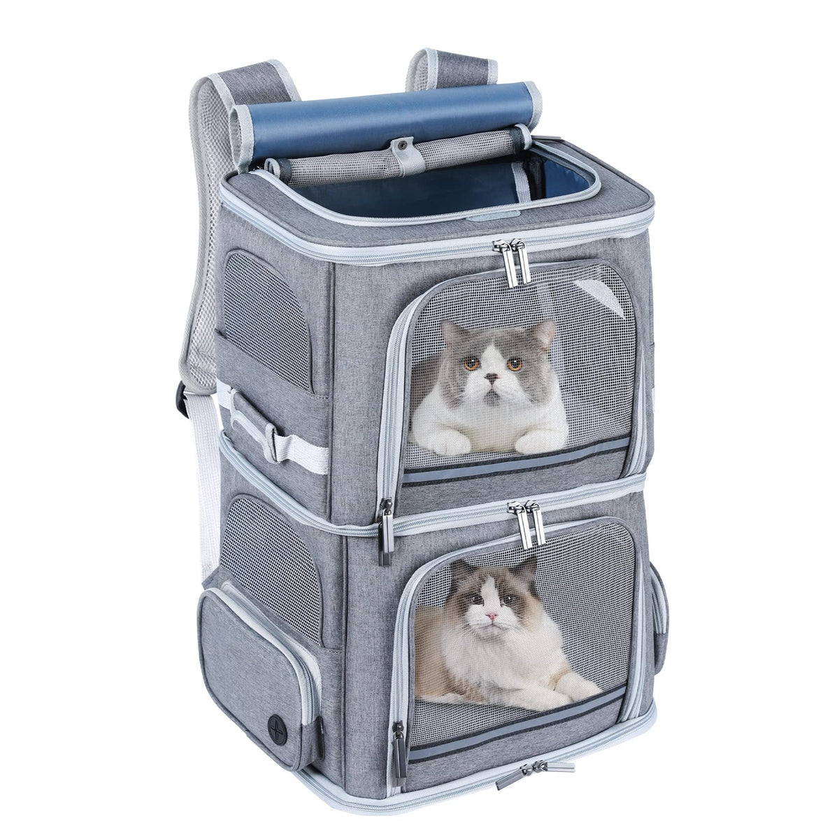 Groxkox sac-a-dos chat double-compartiment, transport sûr pour deux félins lors de balades.
