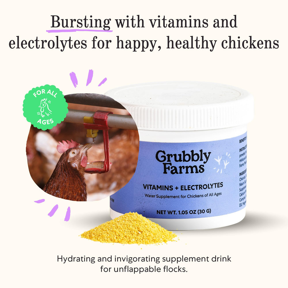 Grubbly Farms hydratation-poulets-quotidienne, soutien pendant les chaleurs.