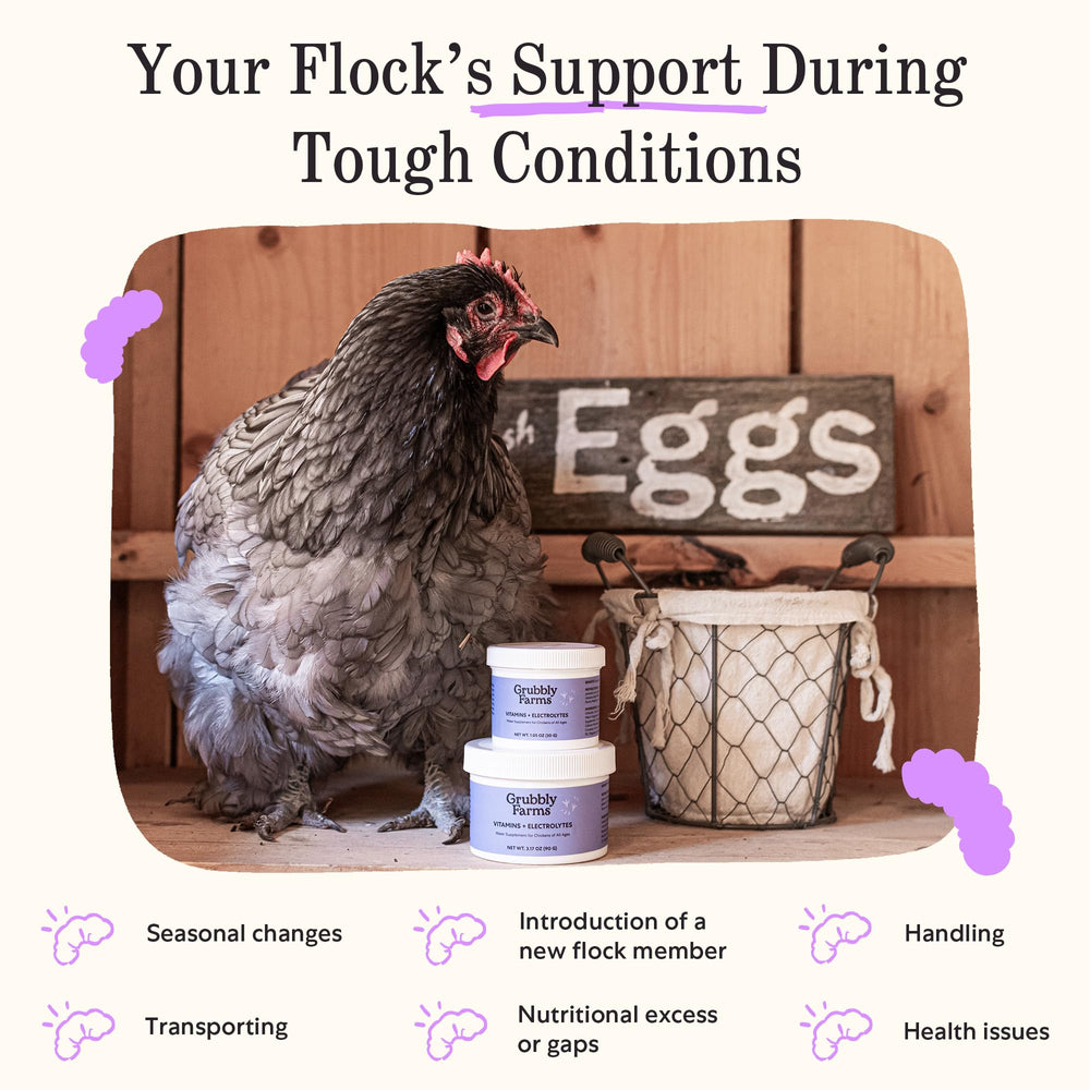 Grubbly Farms sans-mais-soja poulets, formule adaptée et sans allergènes.