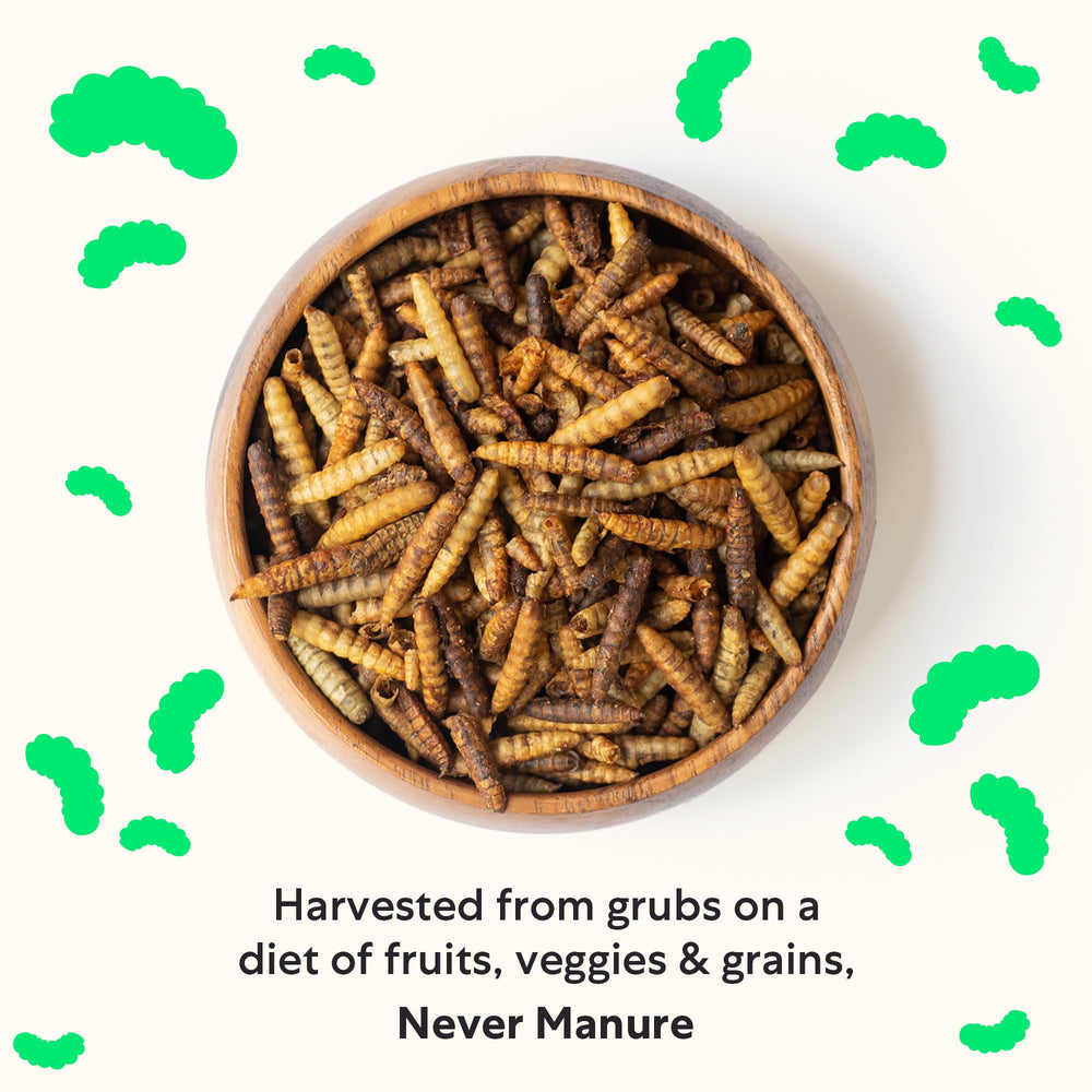 Grubblies odorantes et naturelles issues d’un procédé de séchage sans additifs.