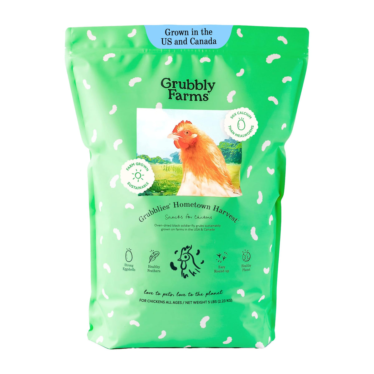 Grubbly Farms Grubblies pour poules: protéine naturelle et bénéfice potentiel.