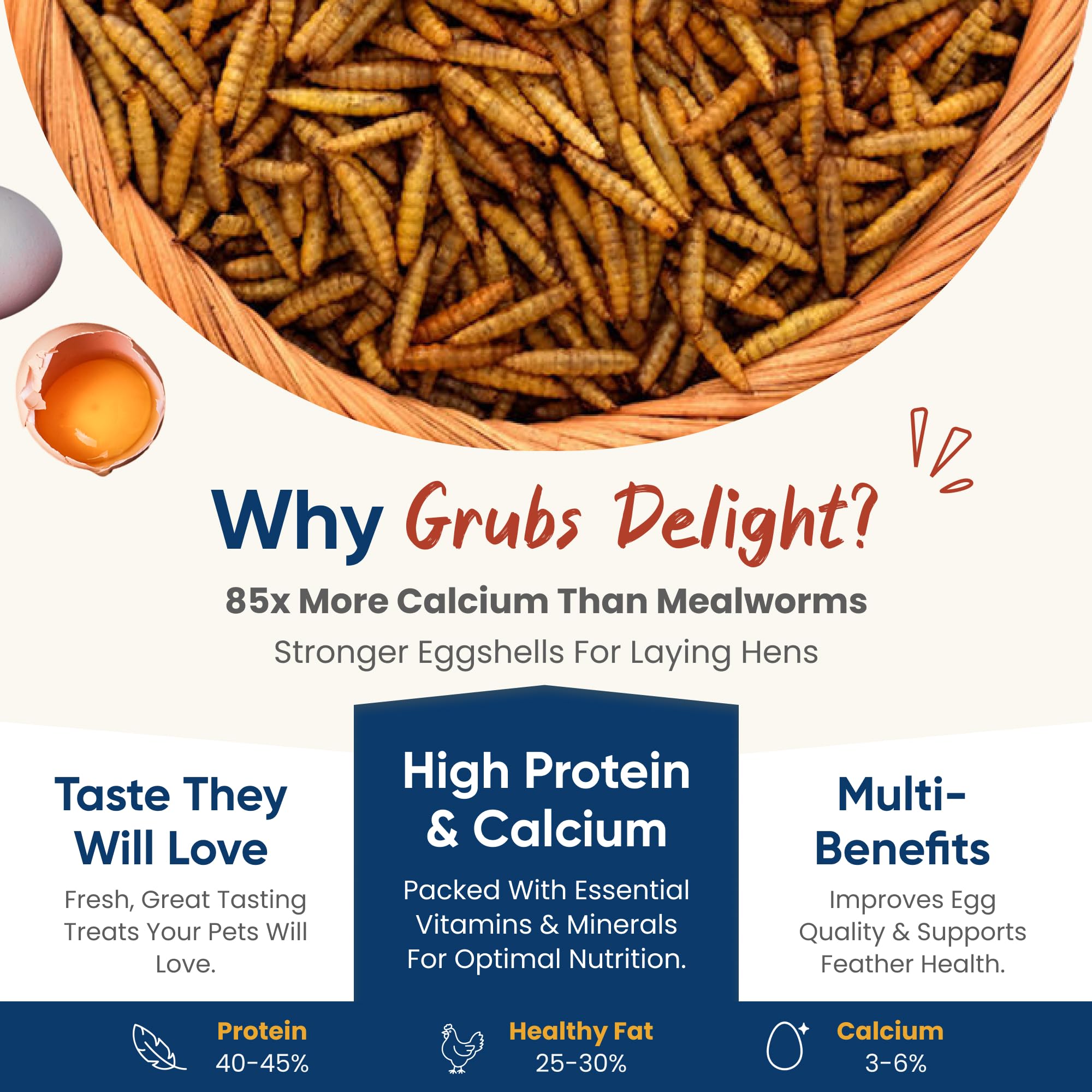 Grubs Delight, larves noires sechees: richesse en protéines et nutrition pour les volailles.