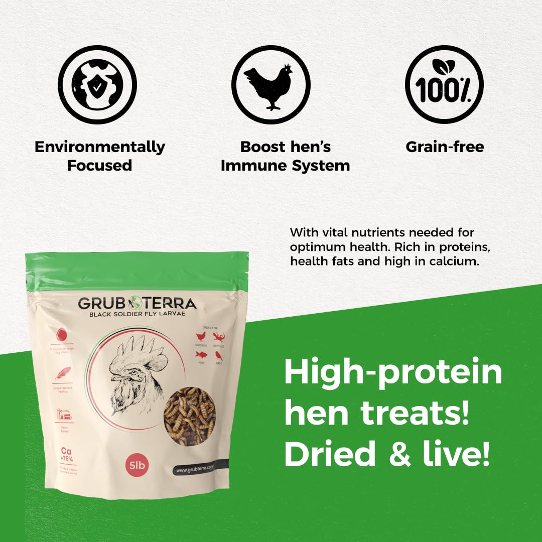 GrubTerra BSFL, origine Mexique et non-Chine, traçabilité fiable.