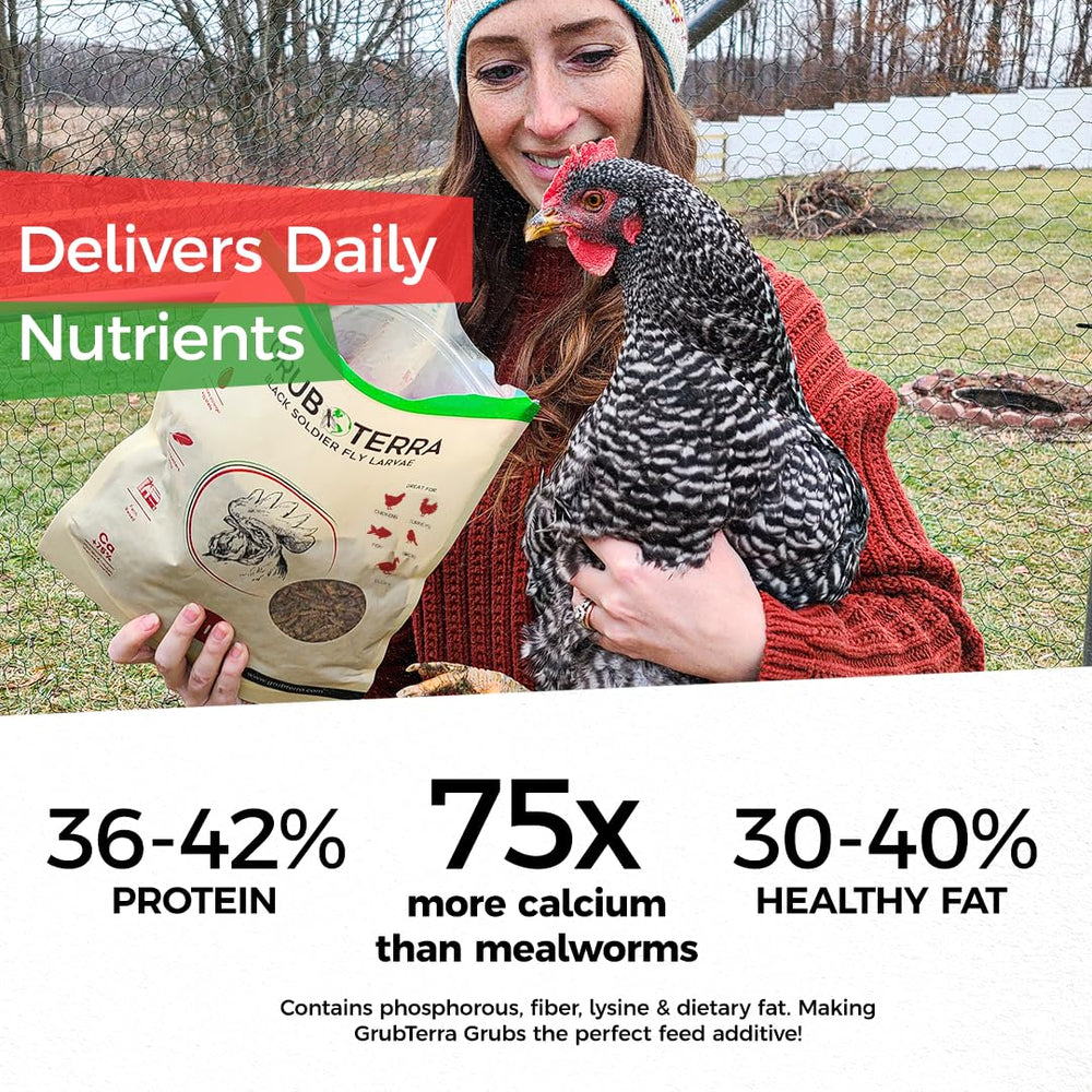 BSFL GrubTerra, origine Mexique, traçabilité claire et production constante.