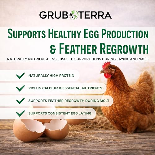 GrubTerra BSFL: utilisation facile, à la main ou dans le plat.